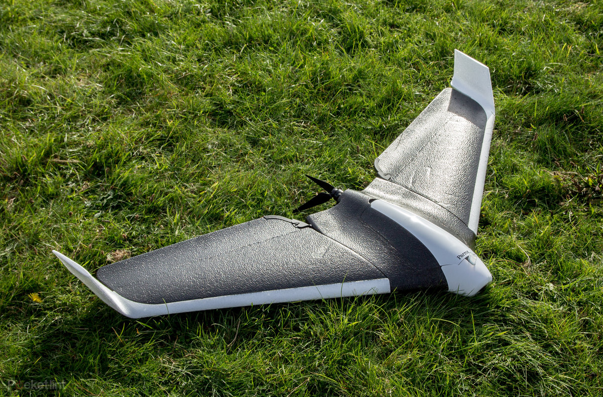 Detail Parrot Disco Youtube Nomer 15