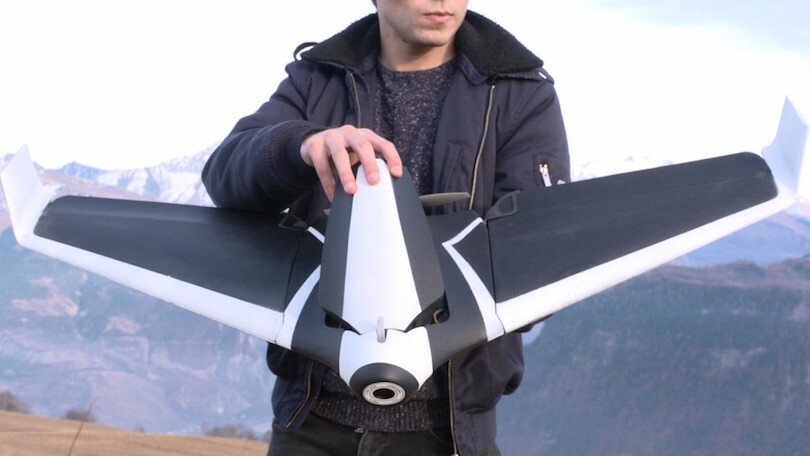 Detail Parrot Disco Youtube Nomer 16