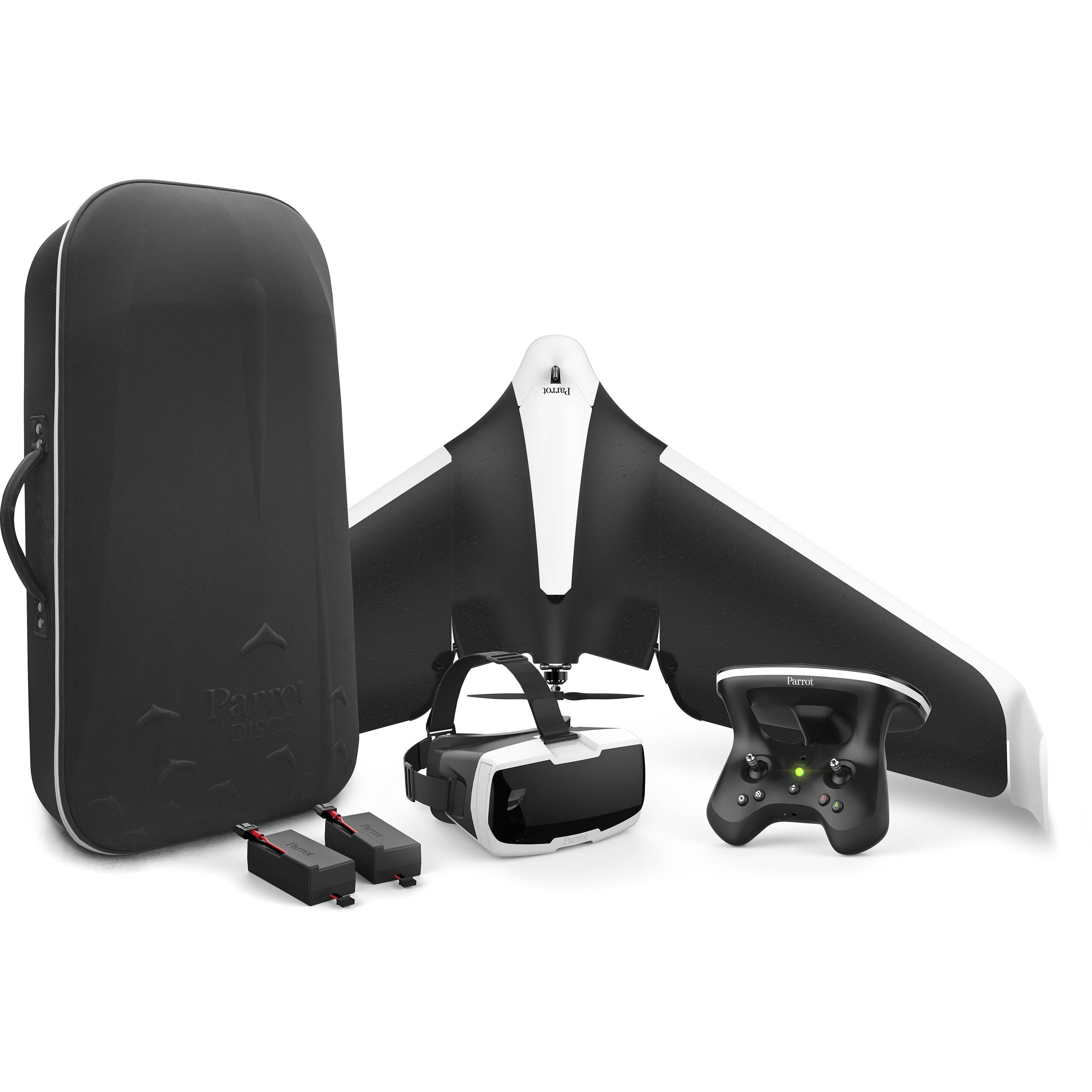 Detail Parrot Disco Youtube Nomer 17