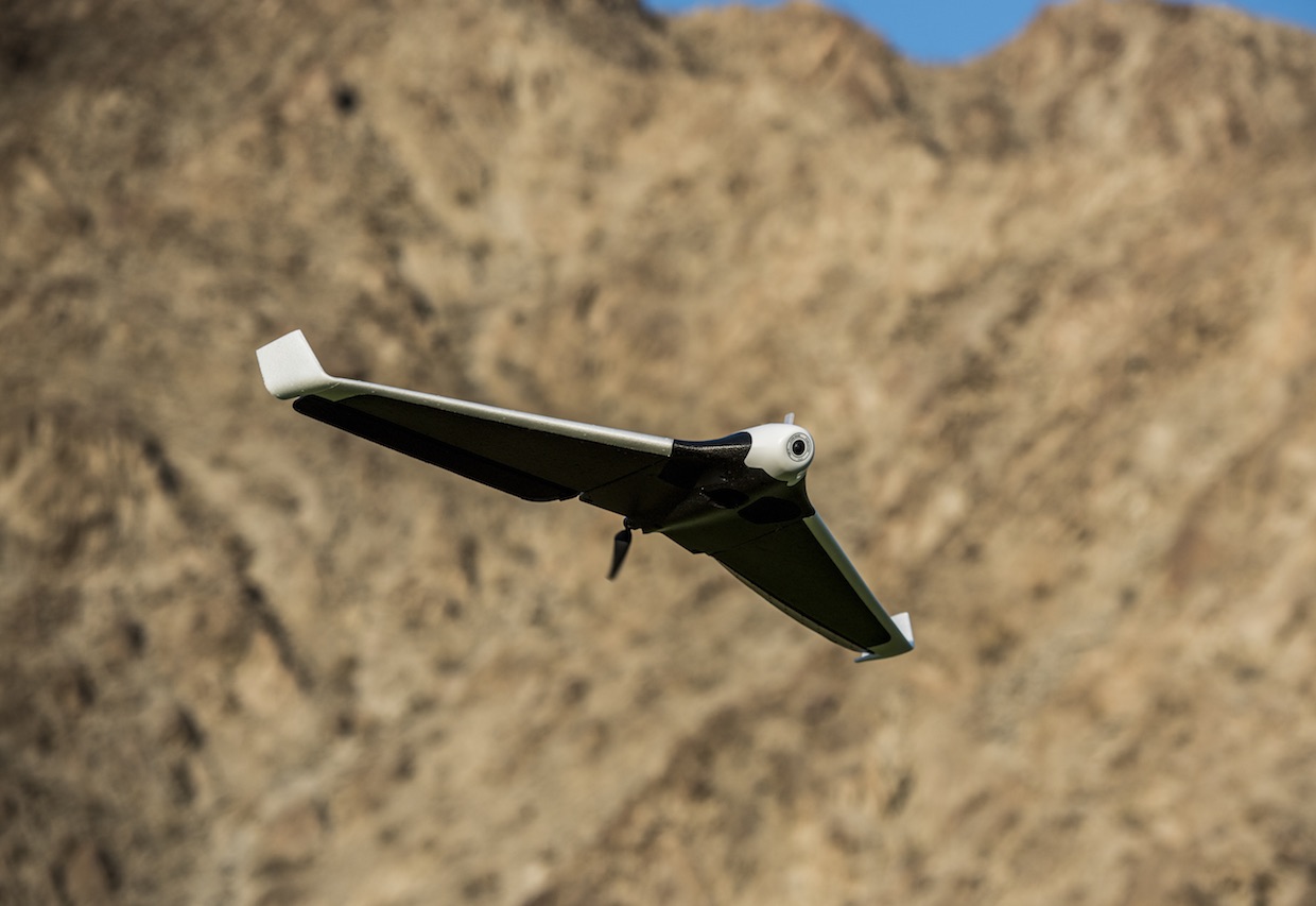 Detail Parrot Disco Youtube Nomer 18