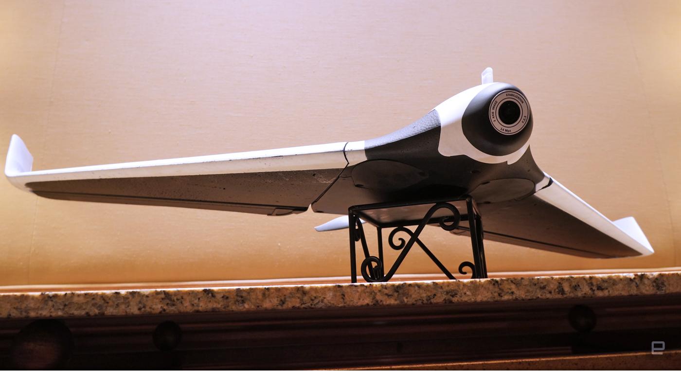 Detail Parrot Disco Youtube Nomer 19