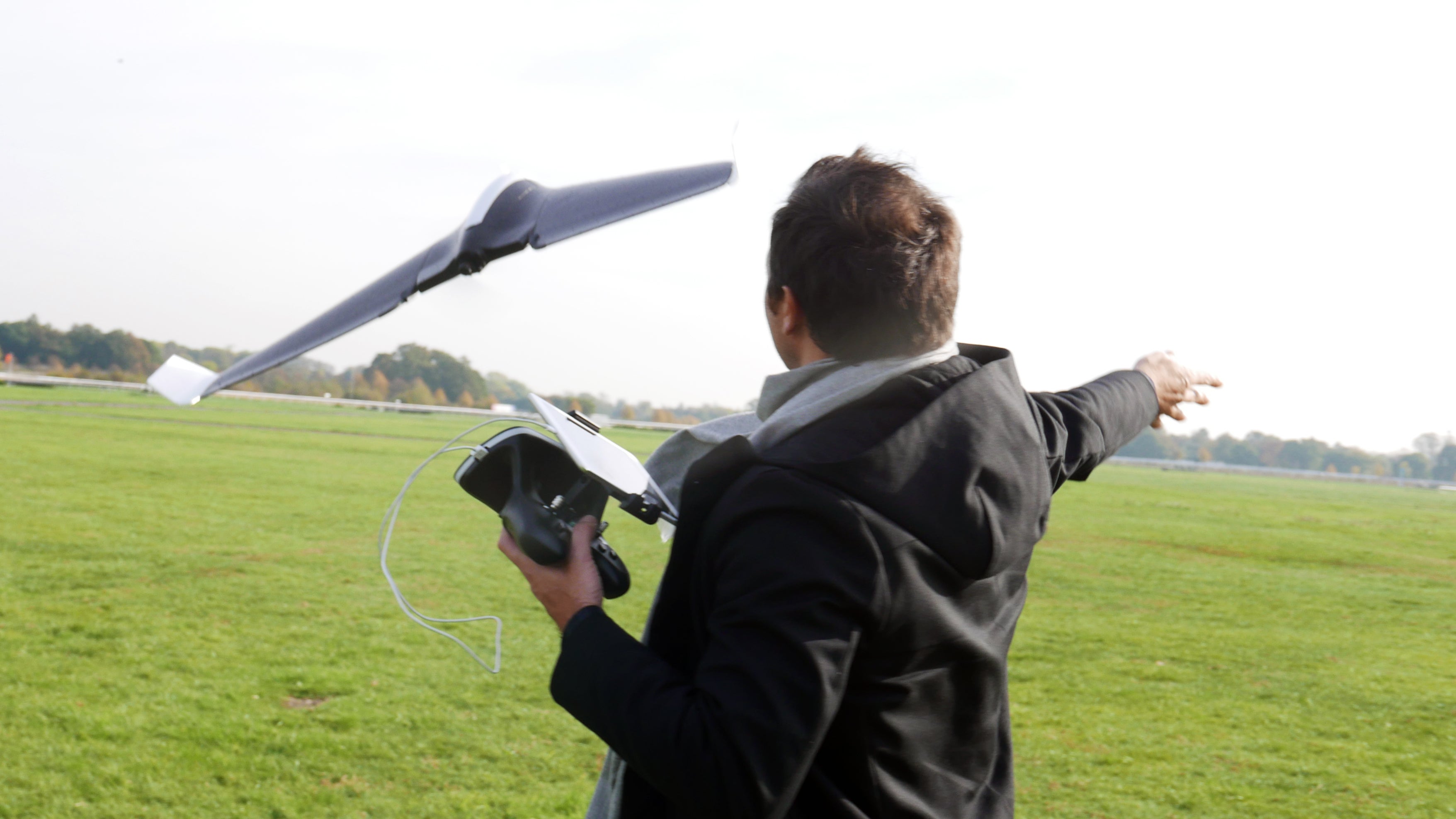 Detail Parrot Disco Youtube Nomer 20