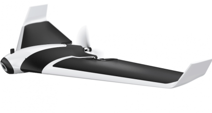 Detail Parrot Disco Youtube Nomer 21