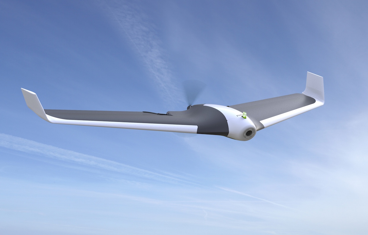 Detail Parrot Disco Youtube Nomer 22