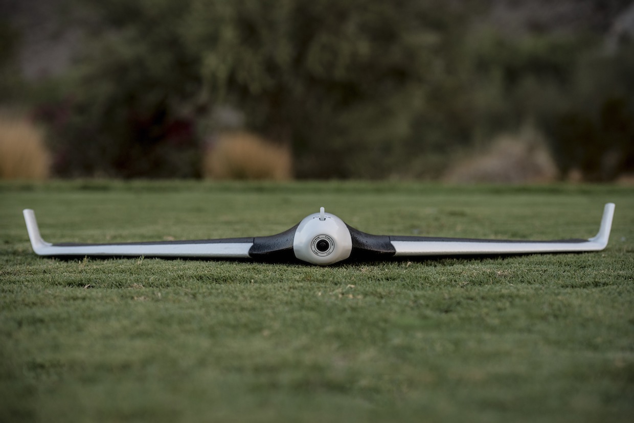 Detail Parrot Disco Youtube Nomer 23