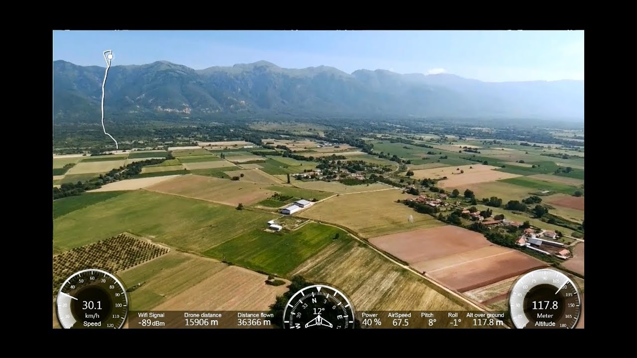 Detail Parrot Disco Youtube Nomer 25
