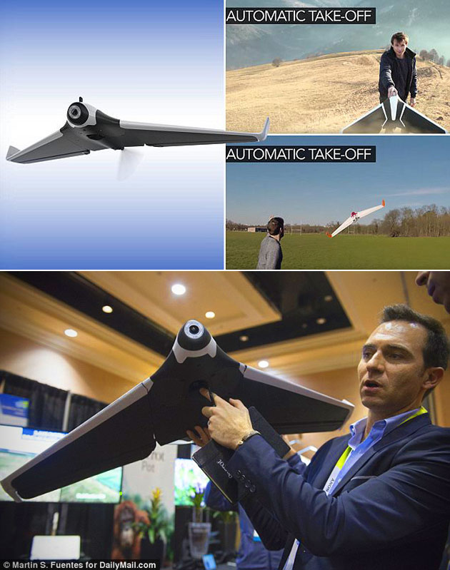 Detail Parrot Disco Youtube Nomer 26