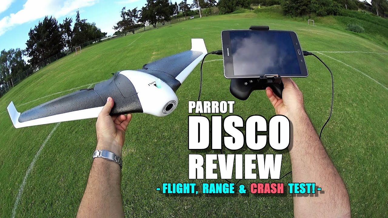 Detail Parrot Disco Youtube Nomer 4