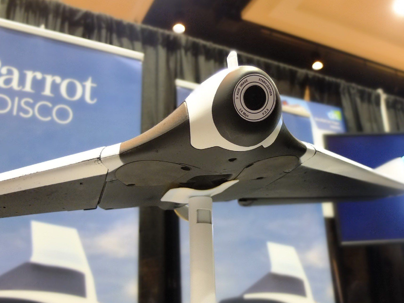 Detail Parrot Disco Youtube Nomer 31