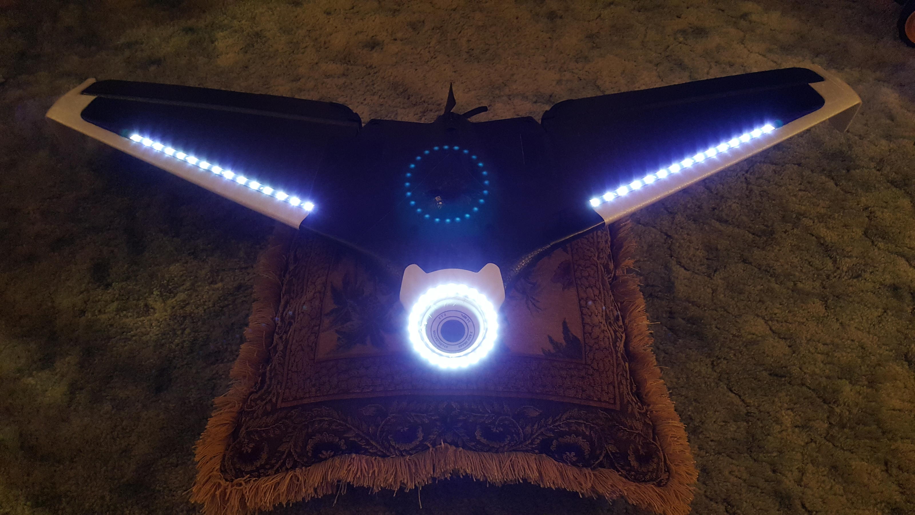 Detail Parrot Disco Youtube Nomer 32