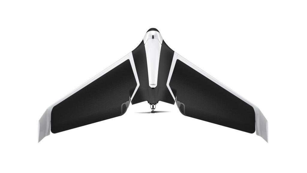 Detail Parrot Disco Youtube Nomer 34