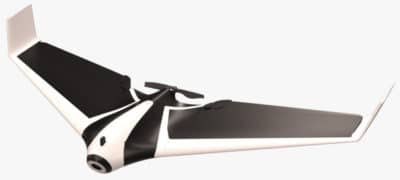Detail Parrot Disco Youtube Nomer 35