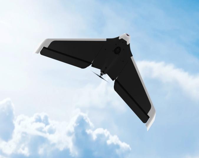 Detail Parrot Disco Youtube Nomer 39