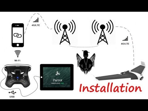 Detail Parrot Disco Youtube Nomer 40