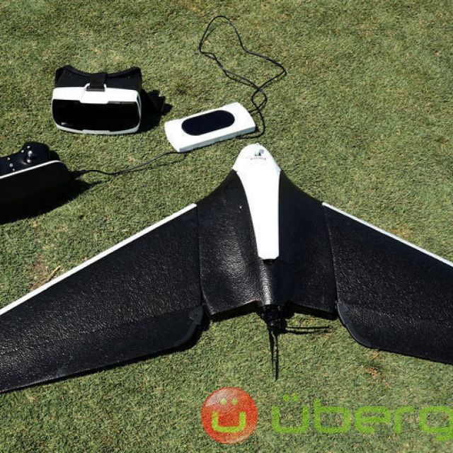 Detail Parrot Disco Youtube Nomer 42