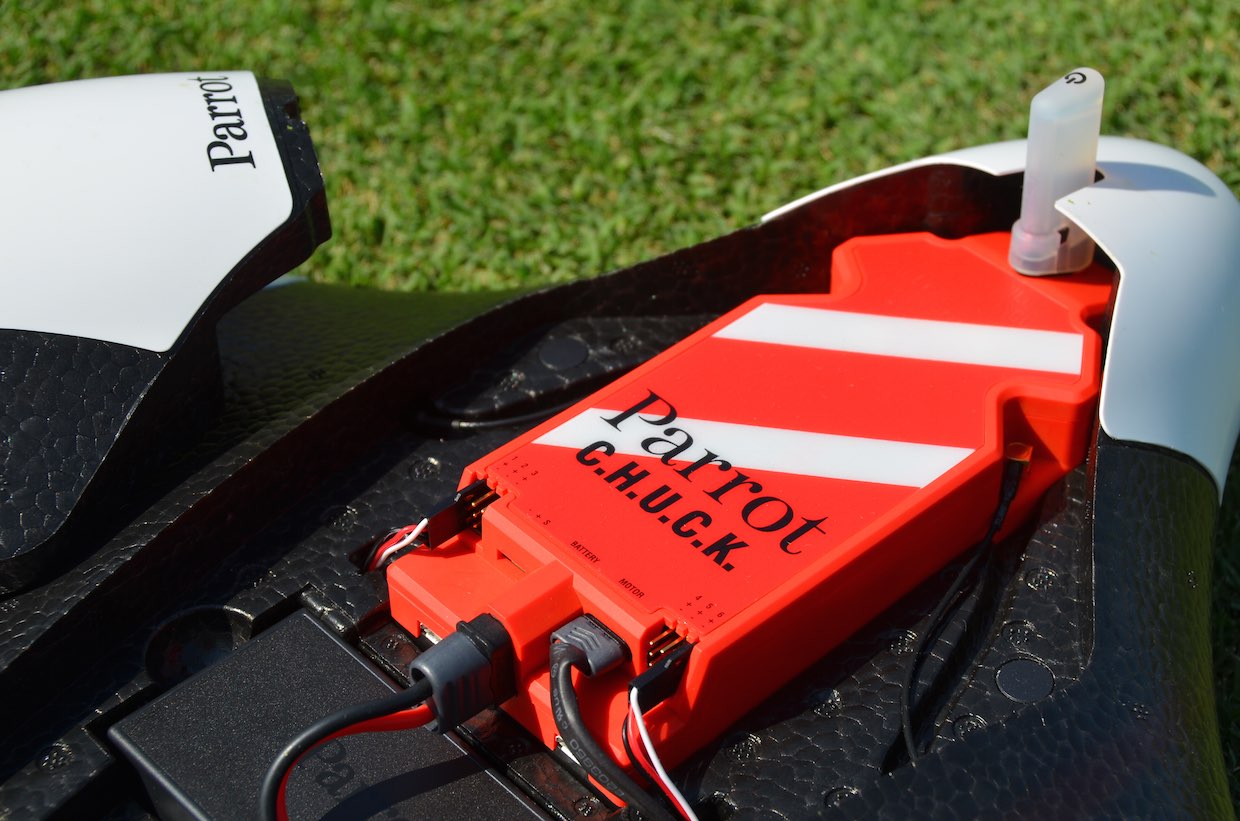 Detail Parrot Disco Youtube Nomer 47