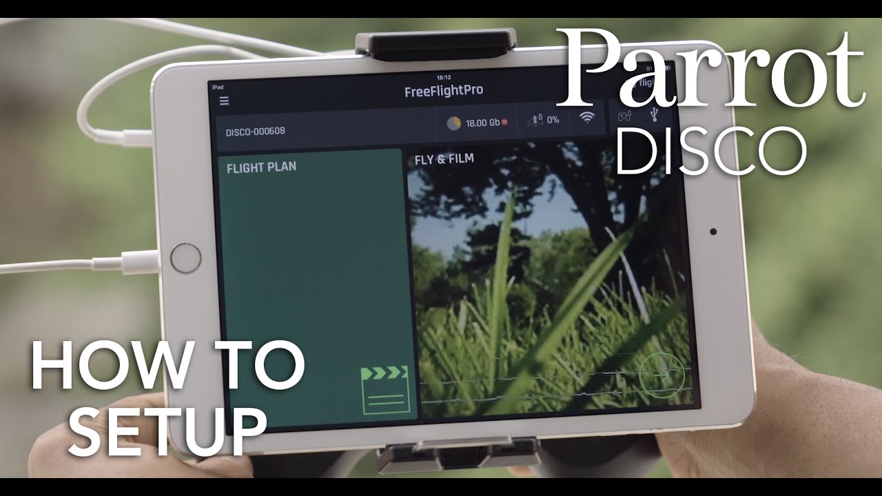 Detail Parrot Disco Youtube Nomer 6
