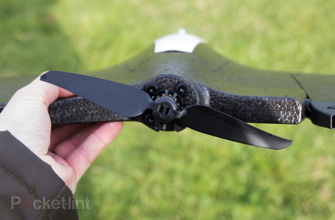 Detail Parrot Disco Youtube Nomer 49