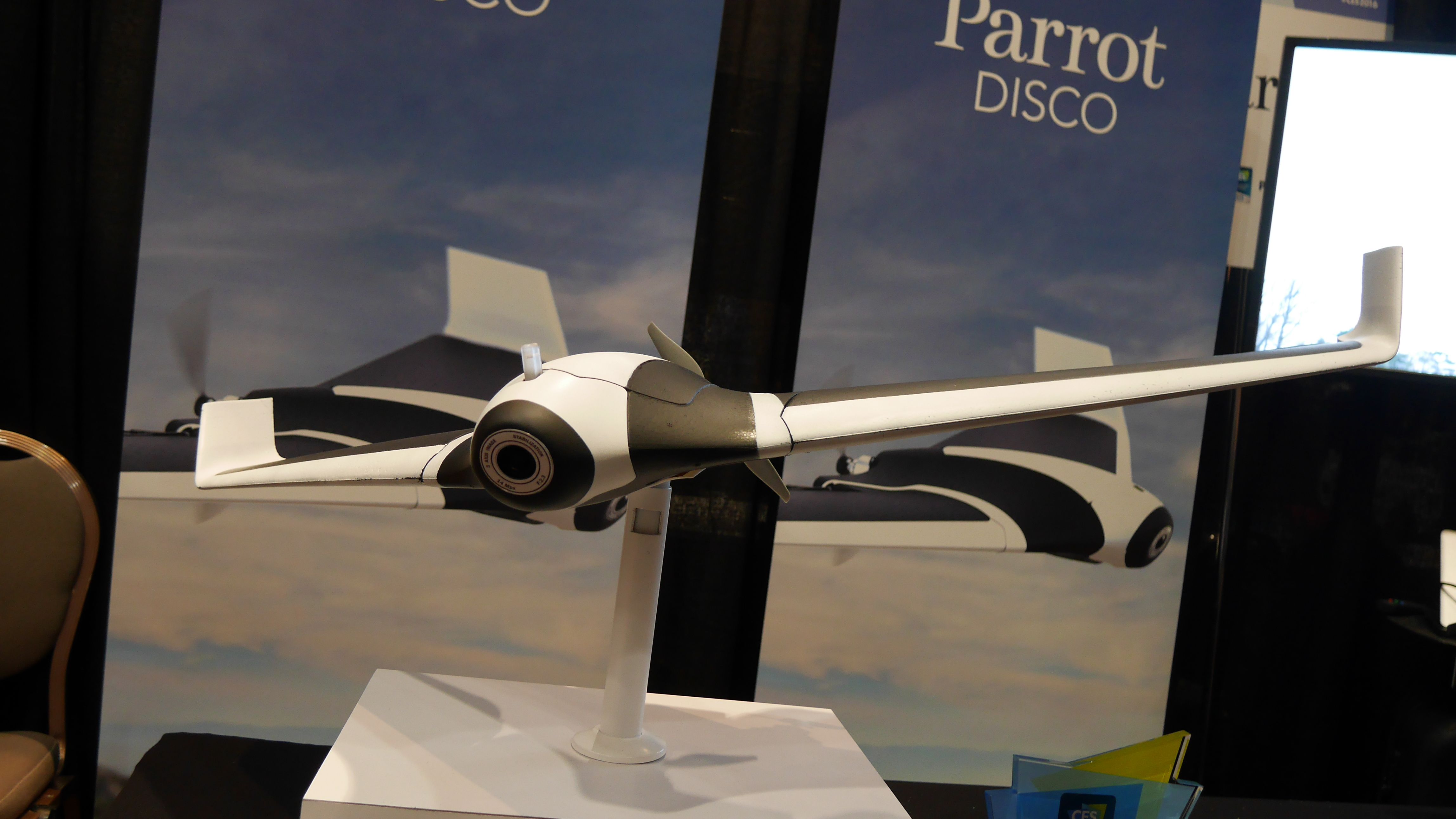 Detail Parrot Disco Youtube Nomer 52