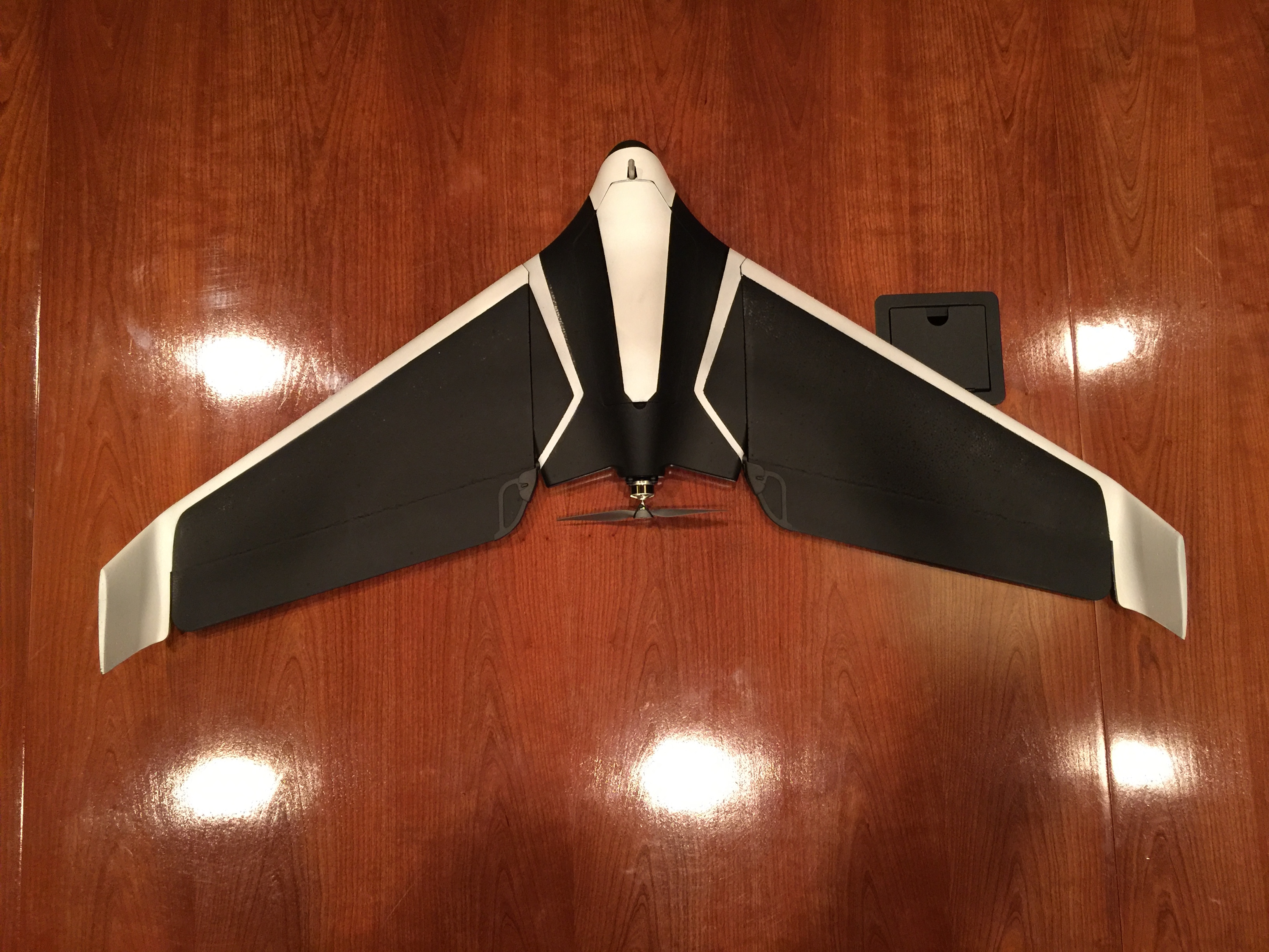 Detail Parrot Disco Youtube Nomer 53