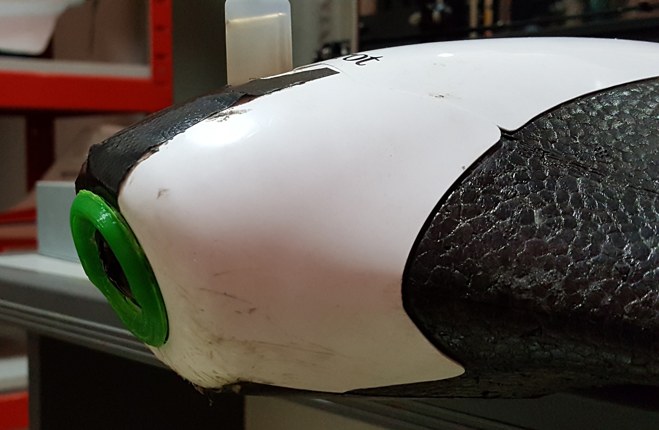 Detail Parrot Disco Youtube Nomer 54