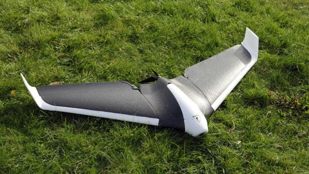 Detail Parrot Disco Youtube Nomer 56