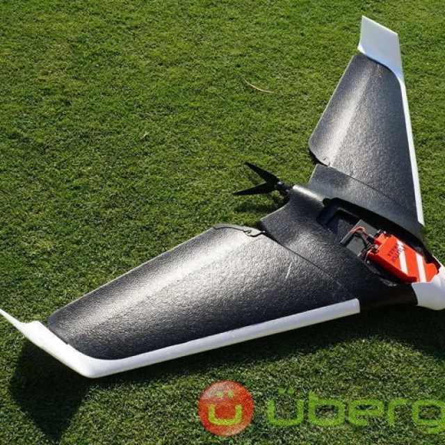 Detail Parrot Disco Youtube Nomer 57