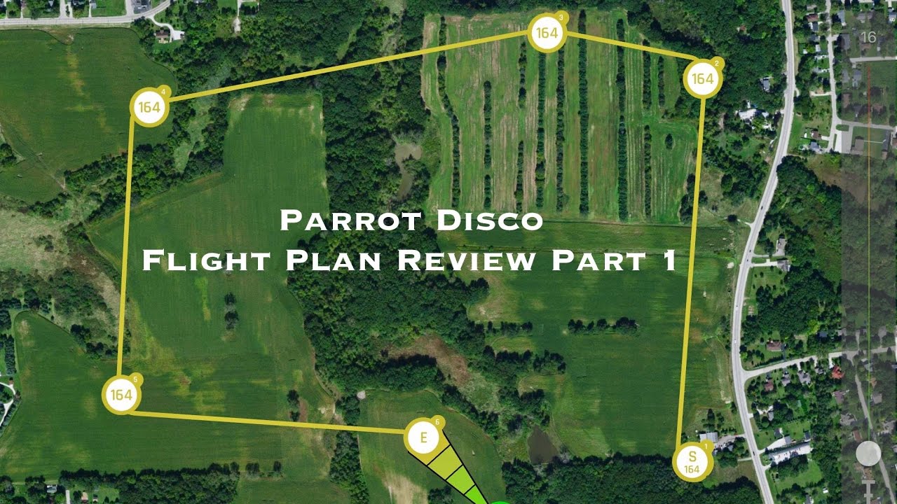 Detail Parrot Disco Youtube Nomer 7