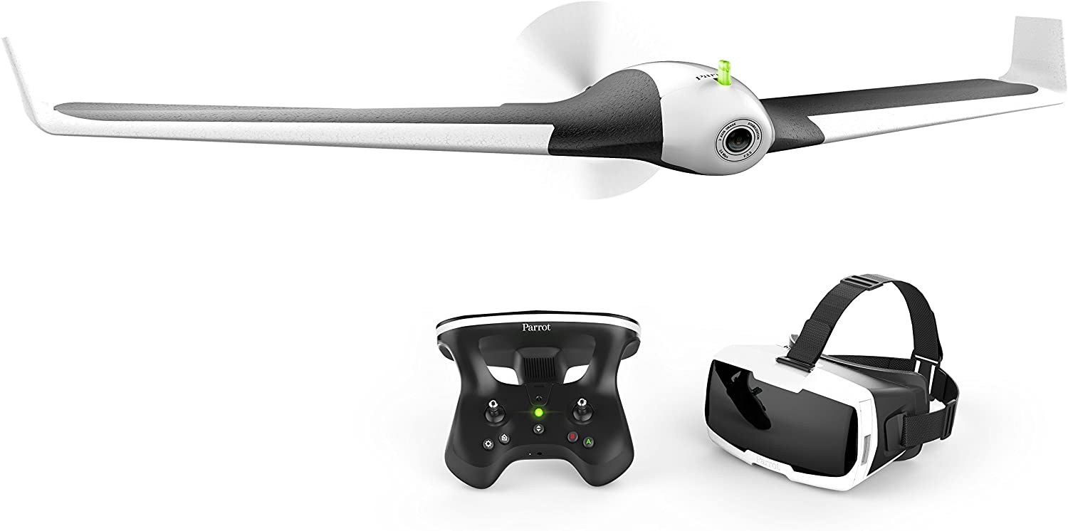 Detail Parrot Disco Youtube Nomer 8