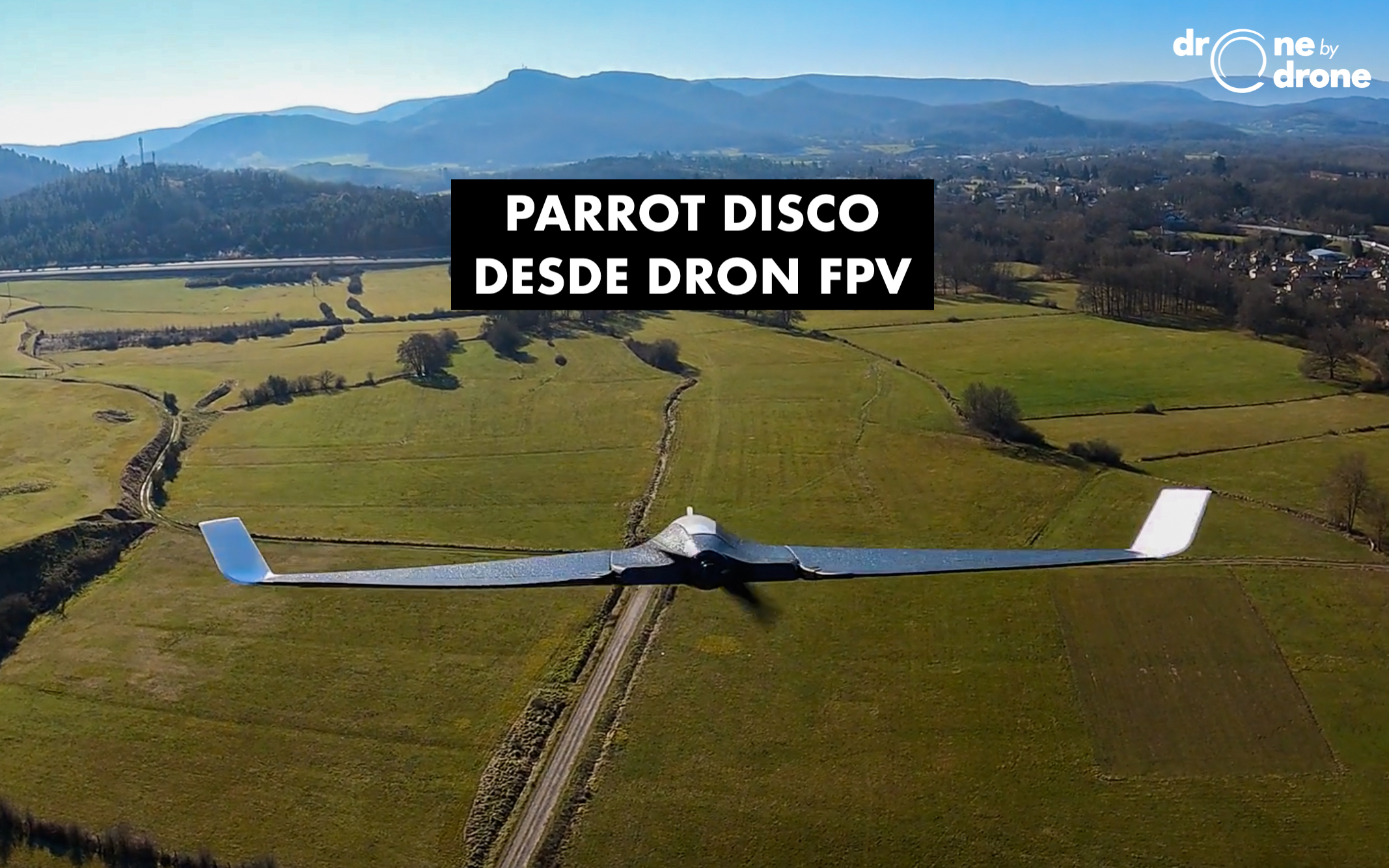 Detail Parrot Disco Youtube Nomer 9