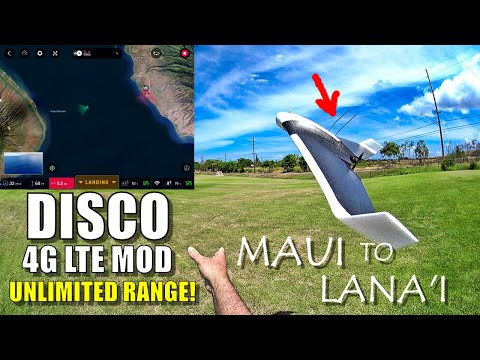 Detail Parrot Disco Youtube Nomer 10