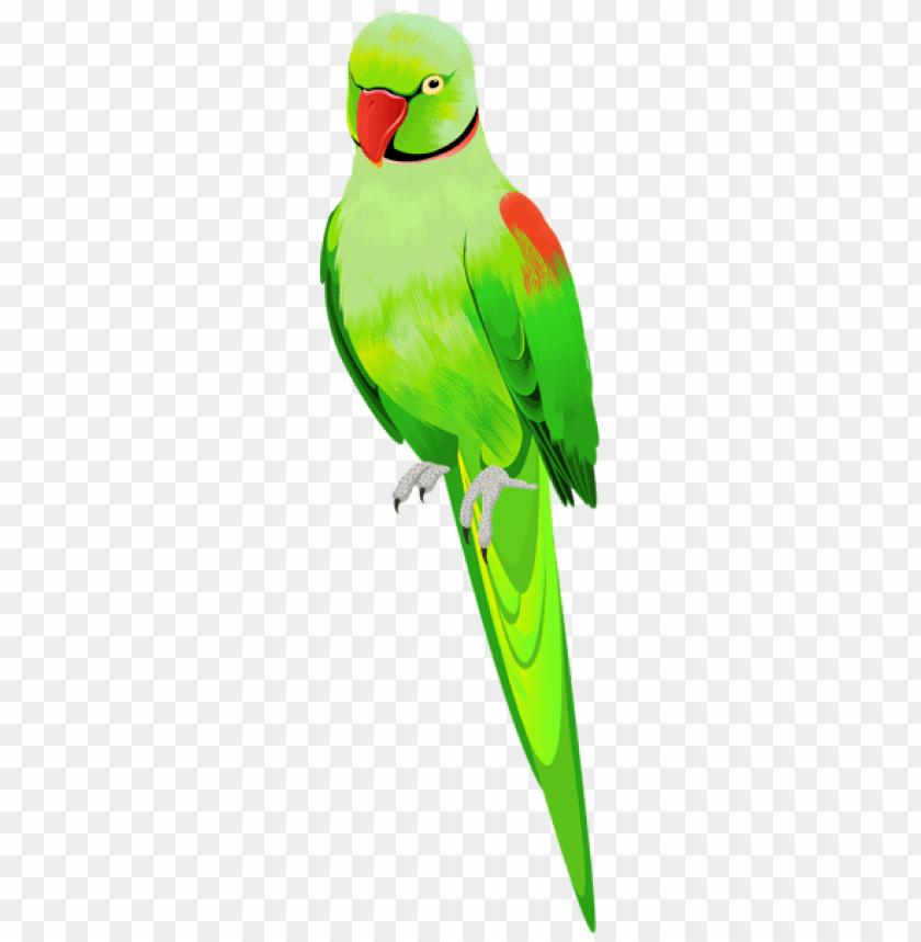 Detail Parrot Download Nomer 30