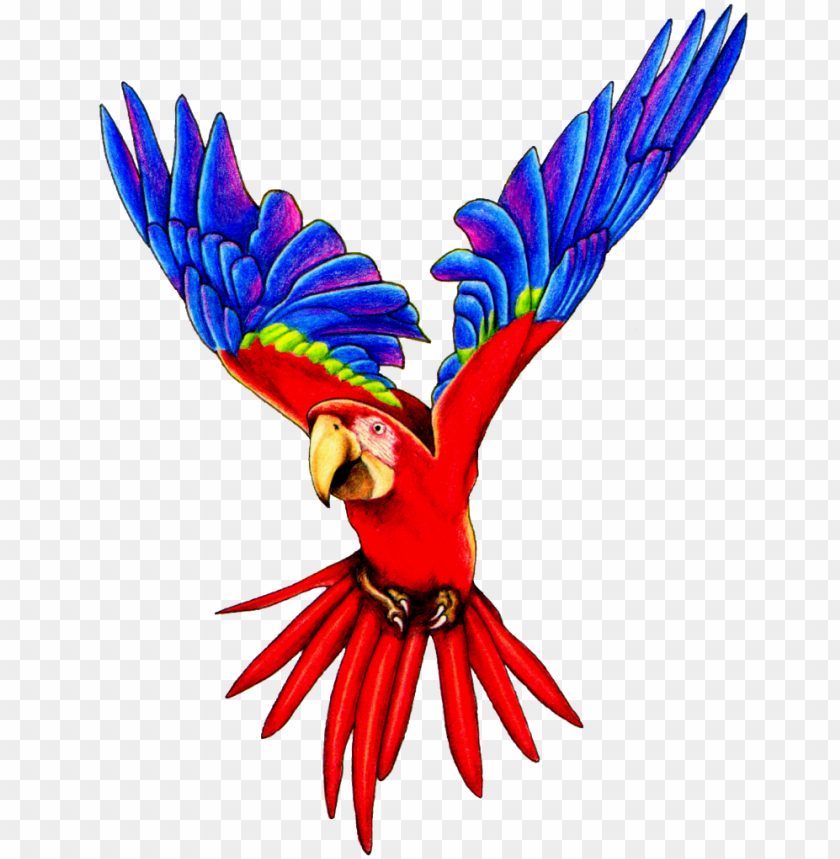 Detail Parrot Flying Png Nomer 17
