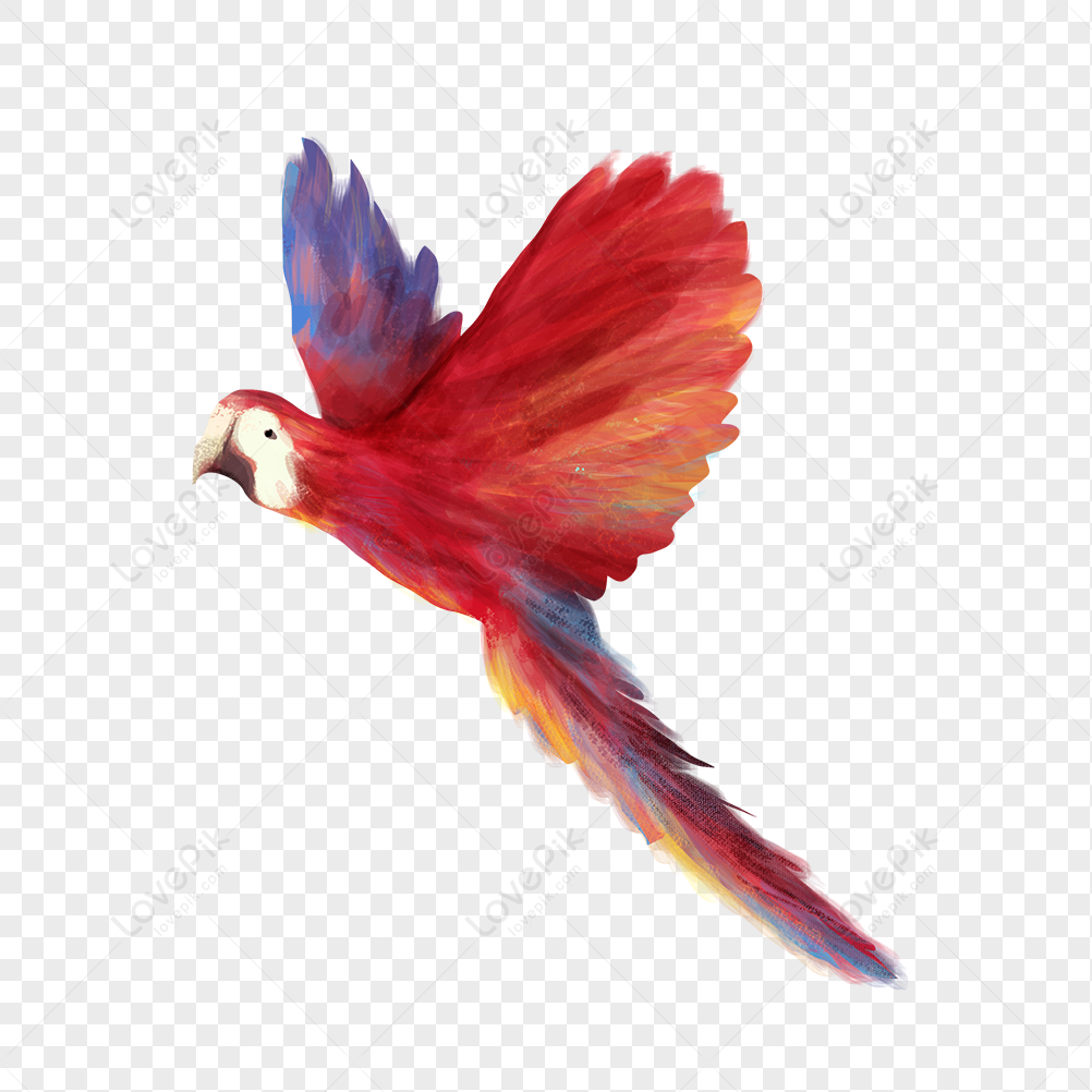 Detail Parrot Flying Png Nomer 26