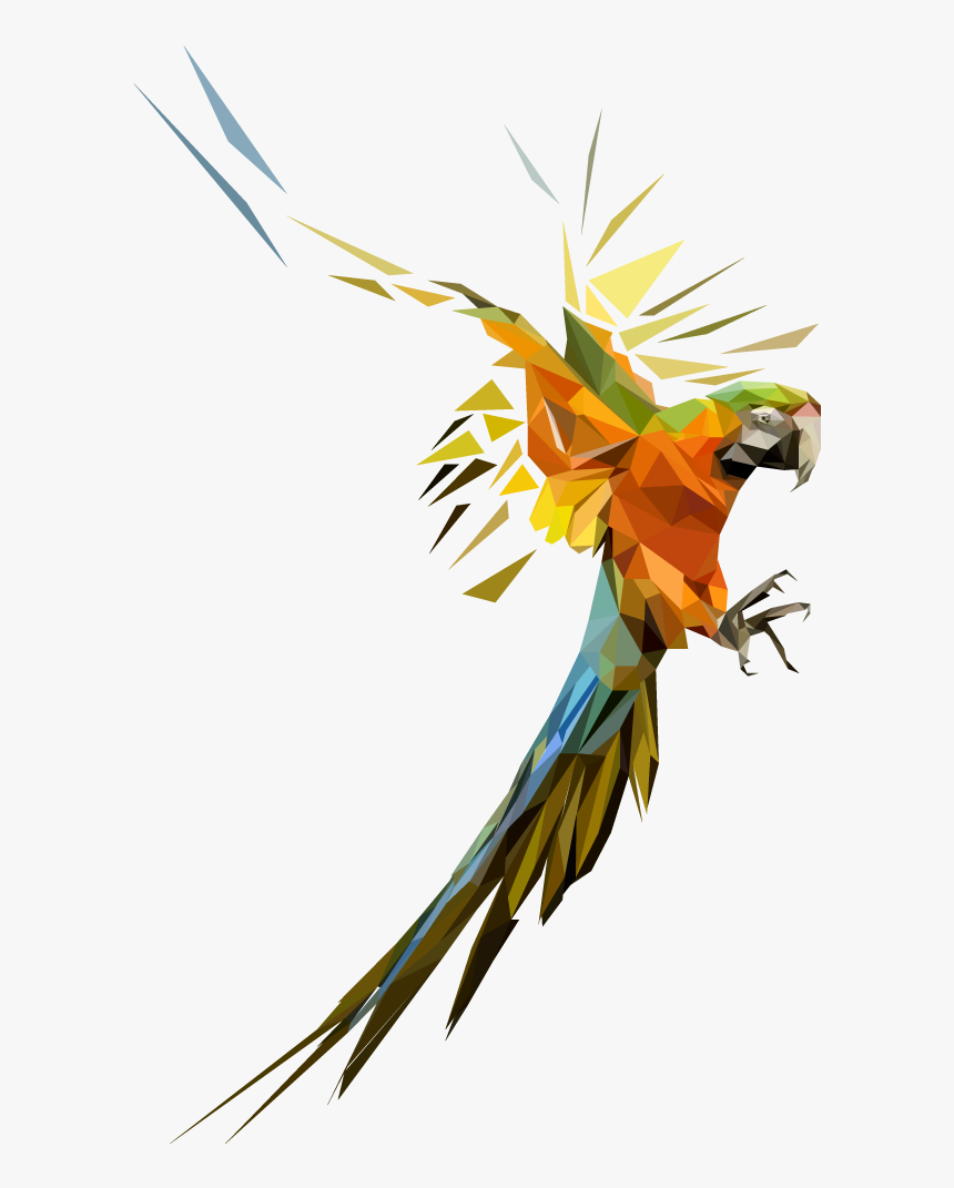 Detail Parrot Flying Png Nomer 37