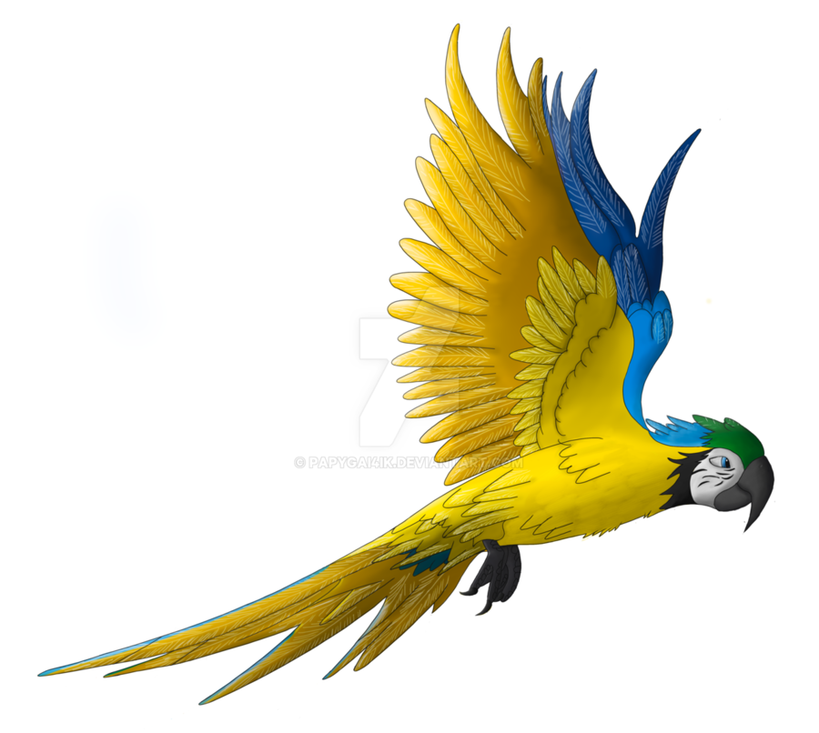 Detail Parrot Flying Png Nomer 41