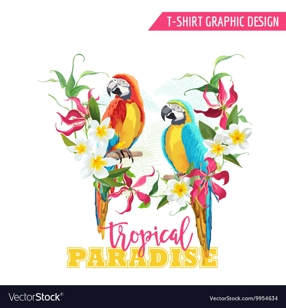 Detail Parrot Graphic Nomer 47