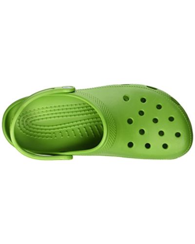 Detail Parrot Green Crocs Nomer 43