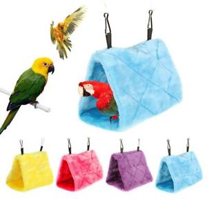 Detail Parrot Hammock Nomer 13