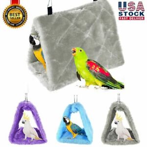 Detail Parrot Hammock Nomer 35