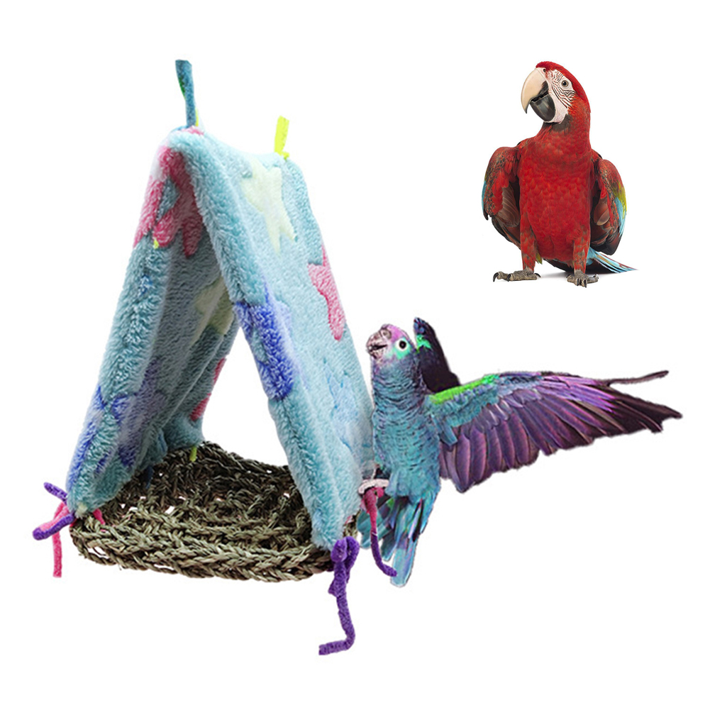 Detail Parrot Hammock Nomer 38