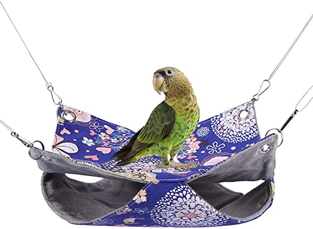 Detail Parrot Hammock Nomer 5