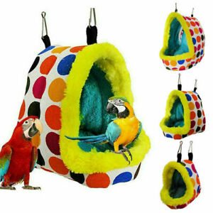 Detail Parrot Hammock Nomer 44