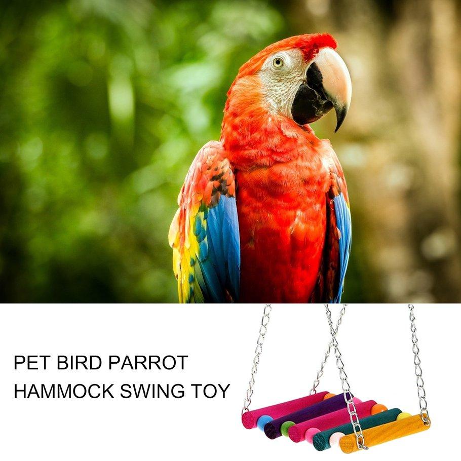 Detail Parrot Hammock Nomer 54