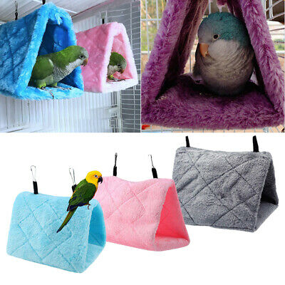 Detail Parrot Hammock Nomer 58