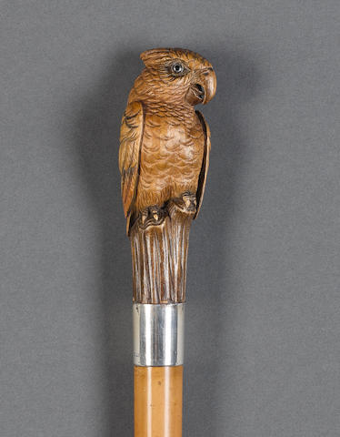 Detail Parrot Handle Umbrella Nomer 38