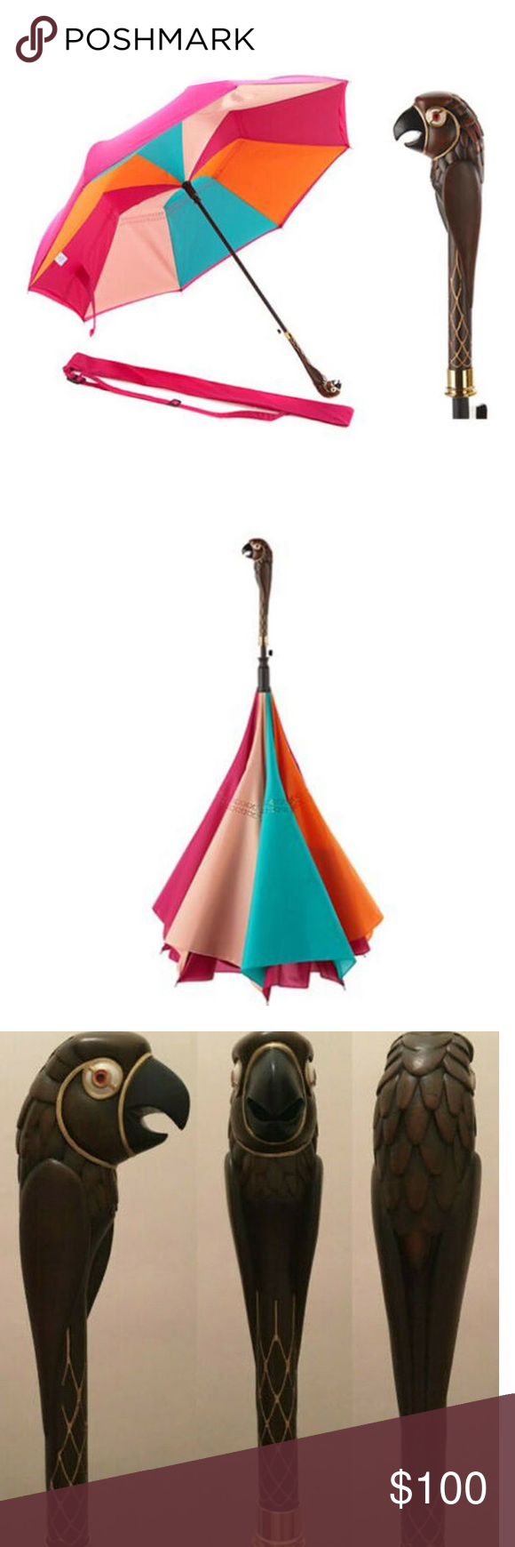 Detail Parrot Handle Umbrella Nomer 40