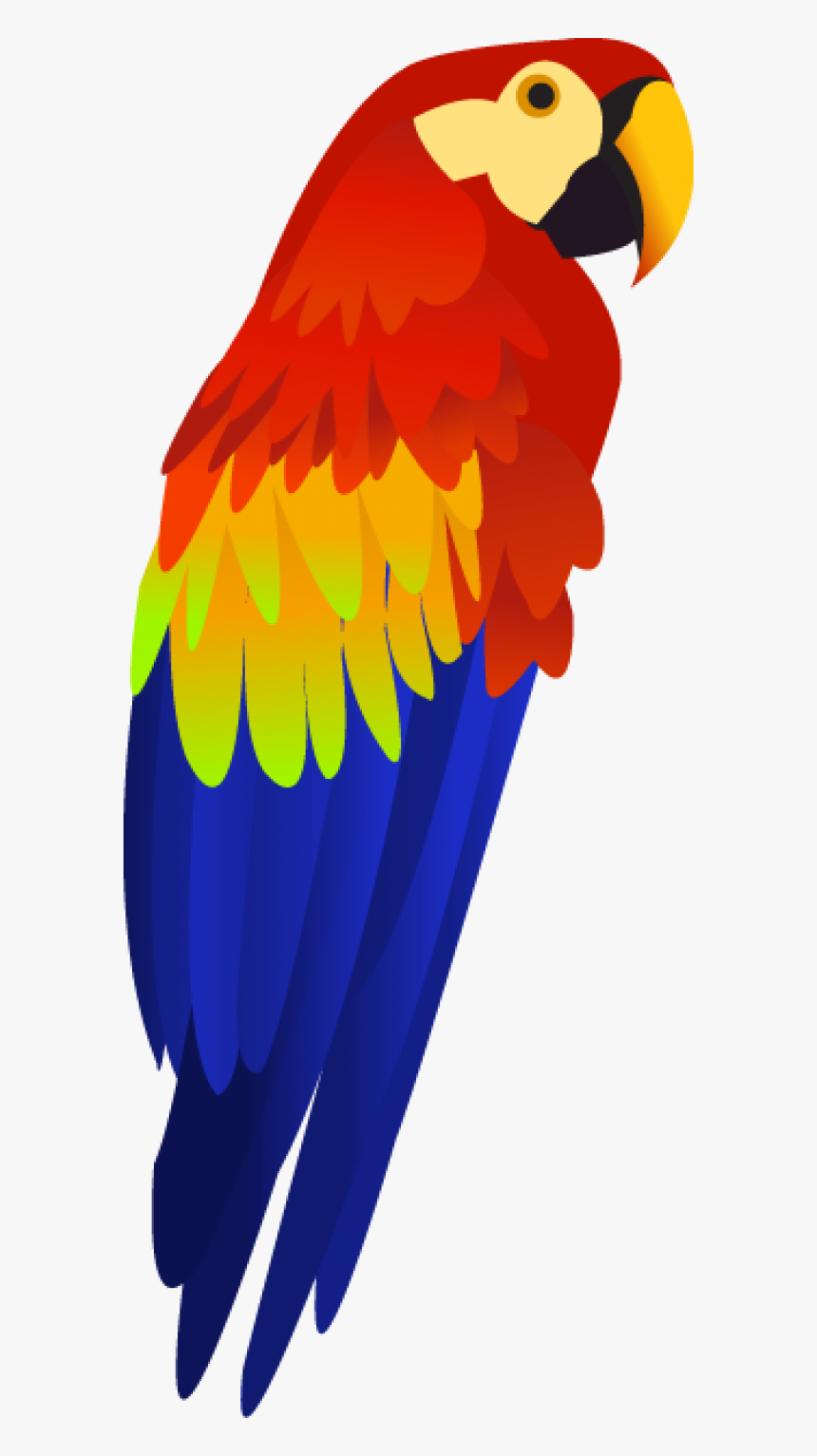 Detail Parrot Images Free Download Nomer 21