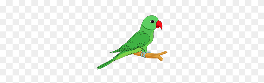 Detail Parrot Images Free Download Nomer 44