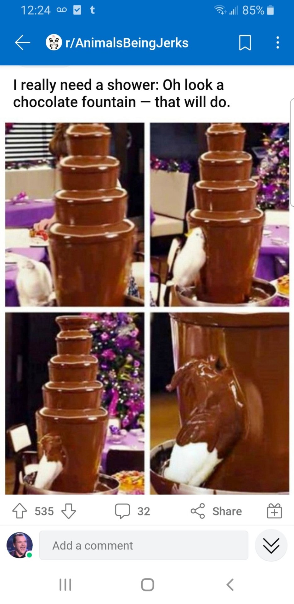 Detail Parrot In Chocolate Fountain Nomer 37